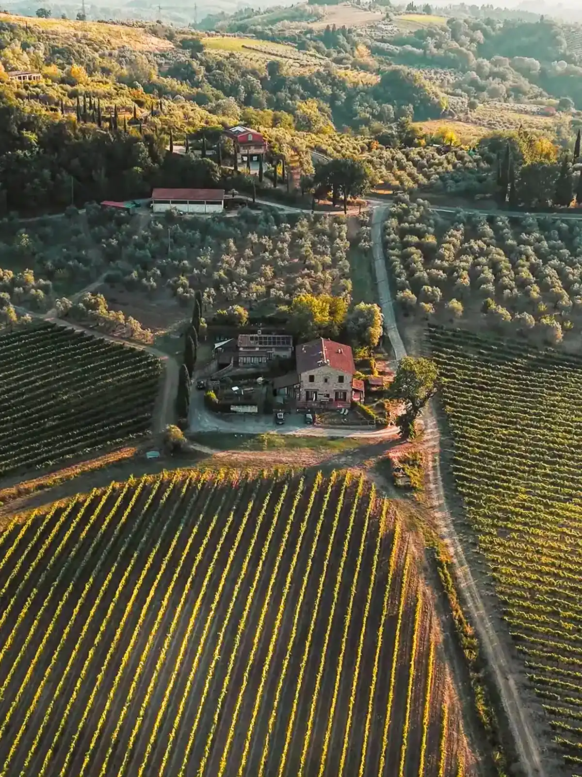 Casa Vacanze in Chianti - I Vigneti del Chianti