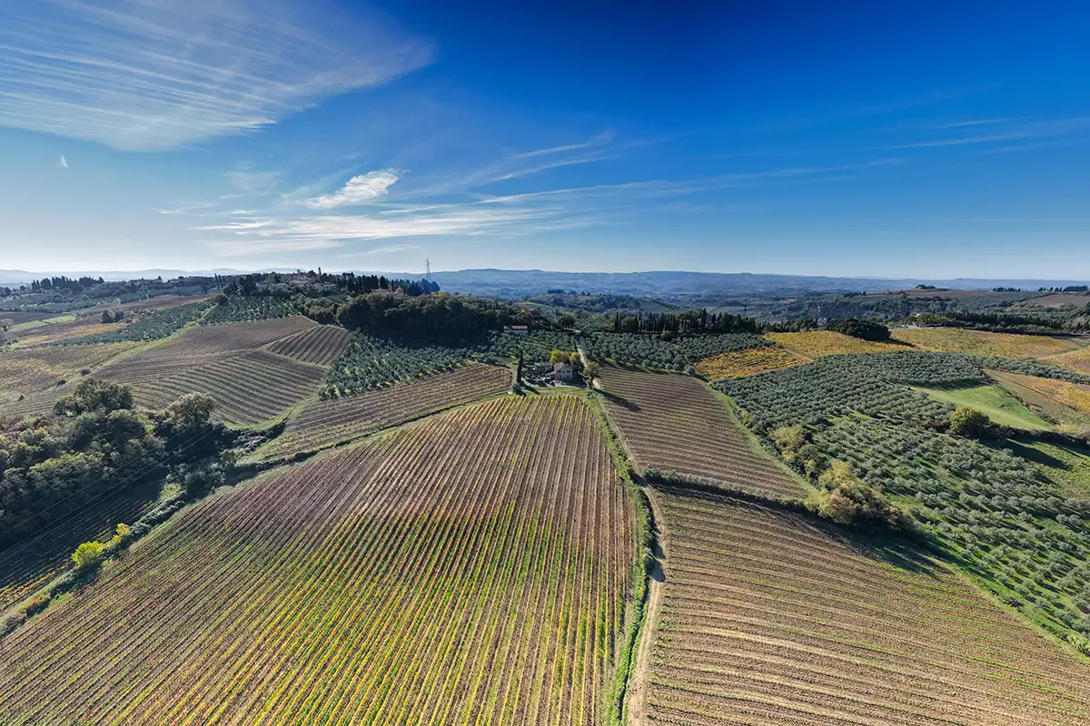 Ivignetidelchianti25 801