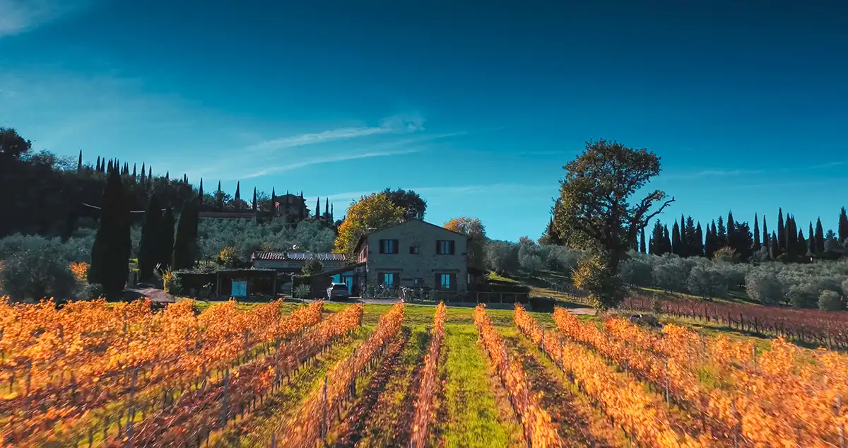 Ivignetidelchianti25 802