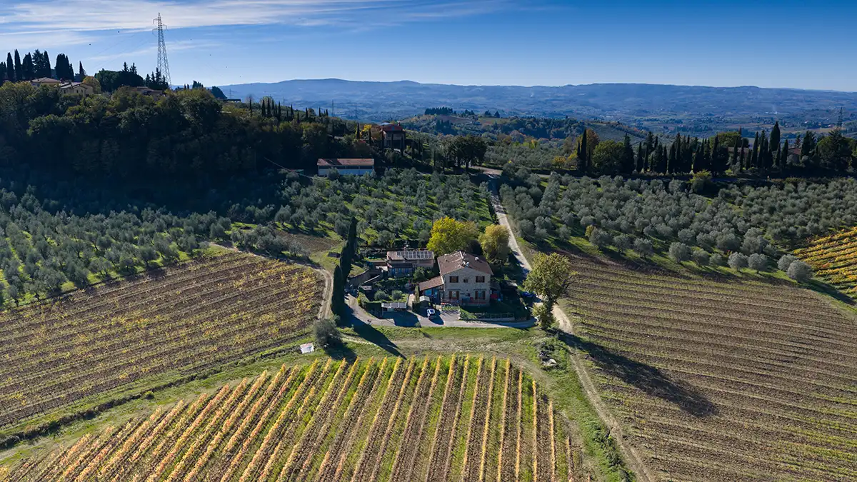 Ivignetidelchianti25 803